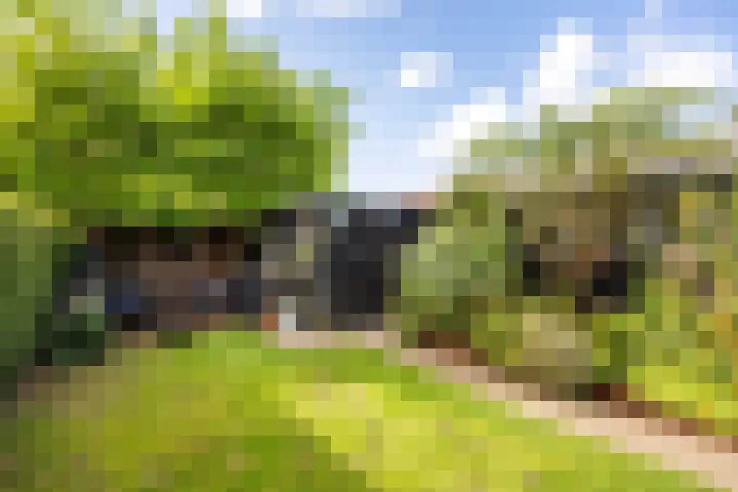 Havenweg 21 Uithuizen thumbnail 62