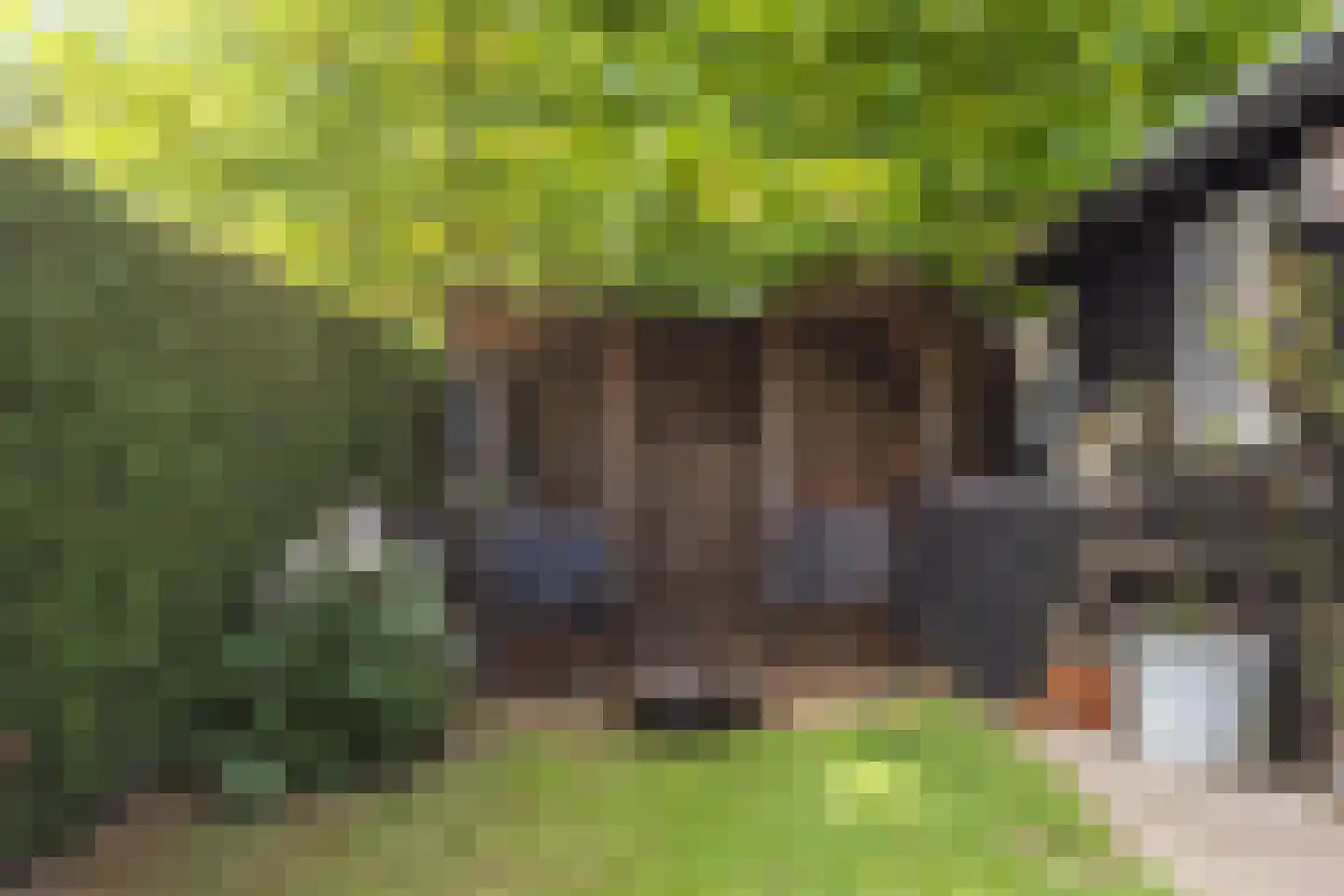 Havenweg 21 Uithuizen thumbnail 63
