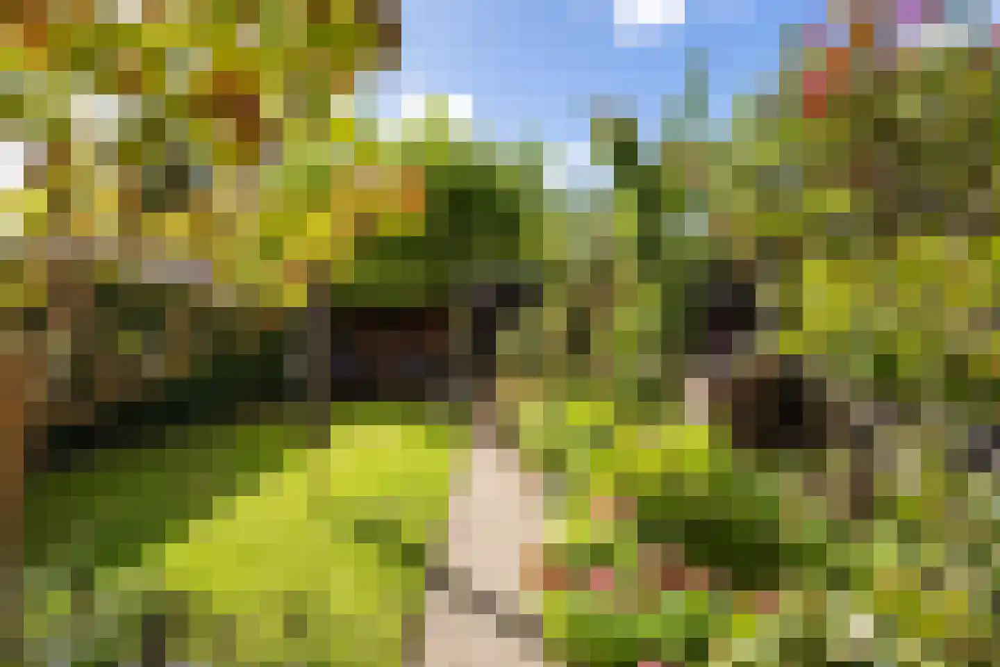 Havenweg 21 Uithuizen thumbnail 65