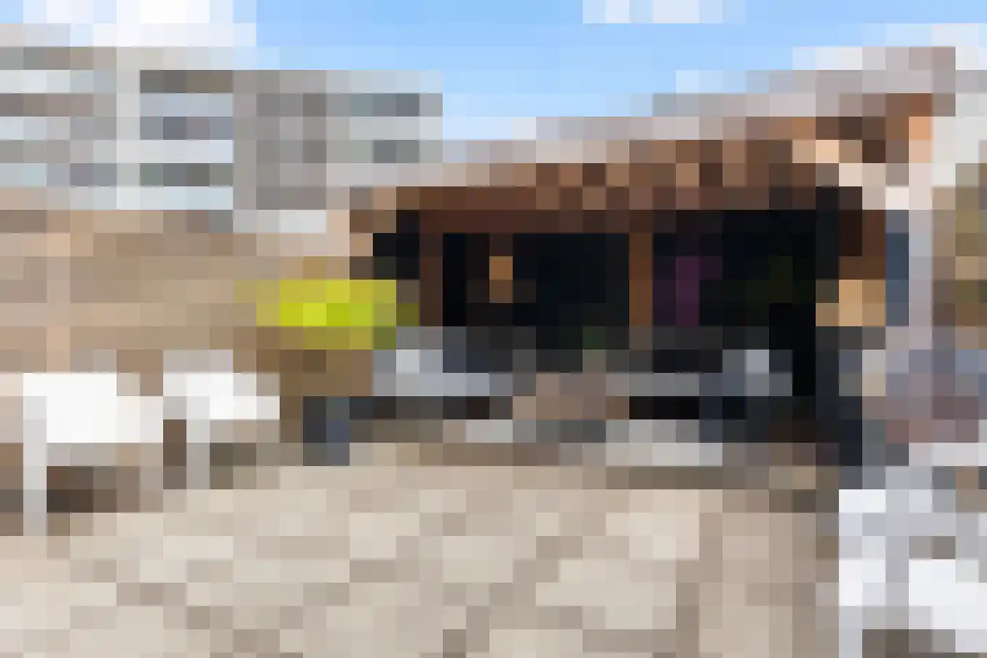 Havenweg 22 Apeldoorn thumbnail 10