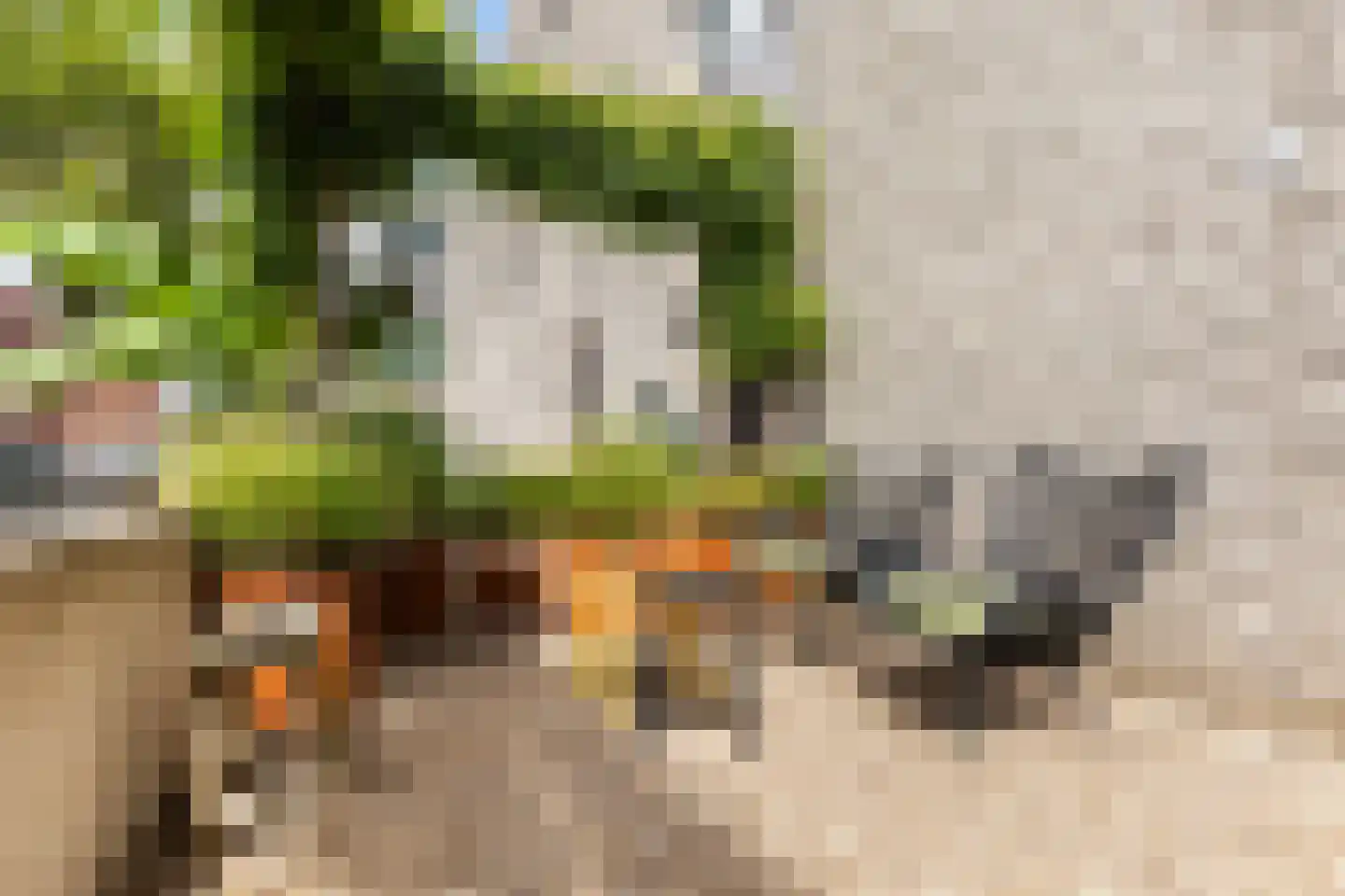 Havenweg 22 Apeldoorn thumbnail 37