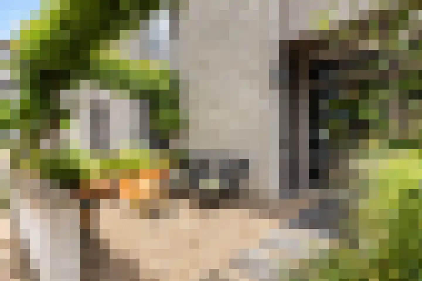 Havenweg 22 Apeldoorn thumbnail 4