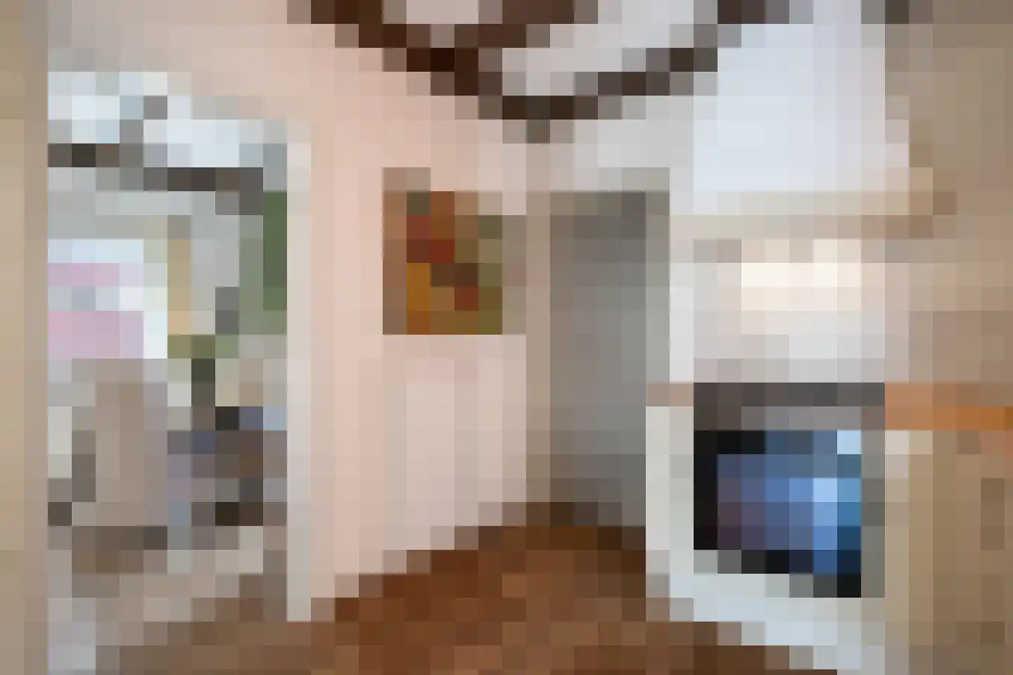 Havenweg 22 Uithuizen thumbnail 21