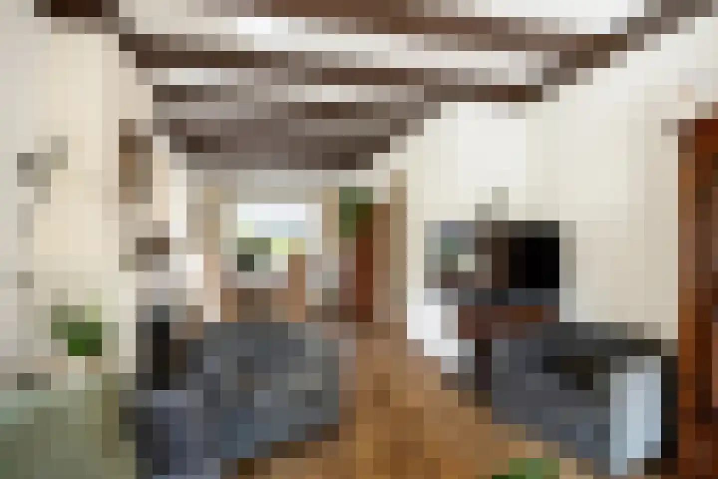 Havenweg 22 Uithuizen thumbnail 26