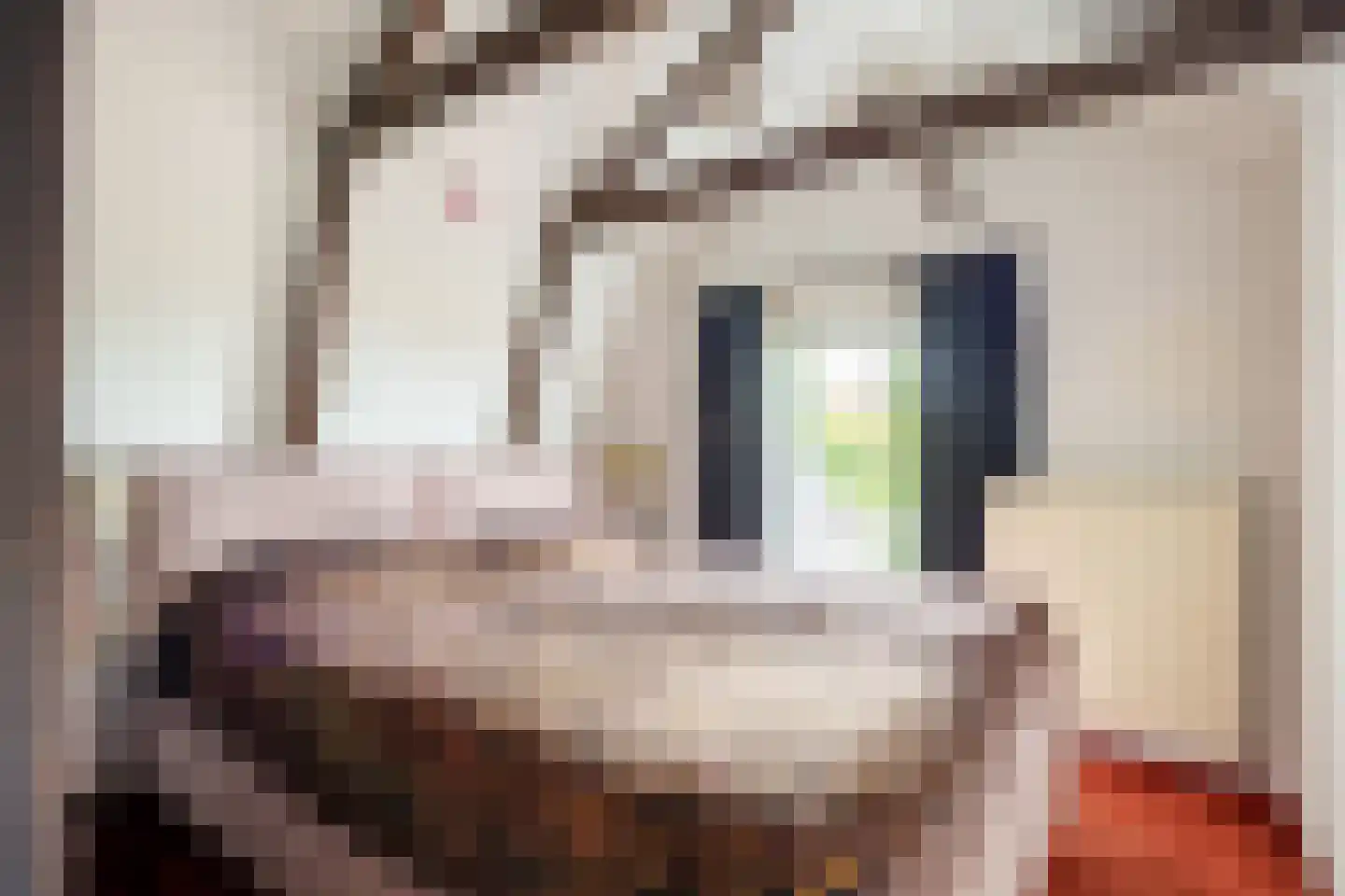 Havenweg 22 Uithuizen thumbnail 35