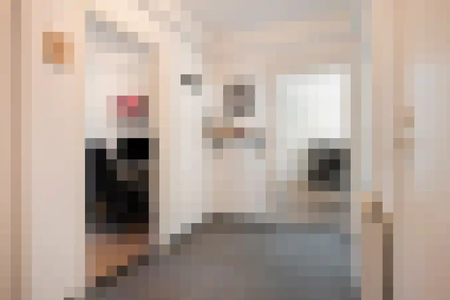 Havenweg 26 Buchten thumbnail 9