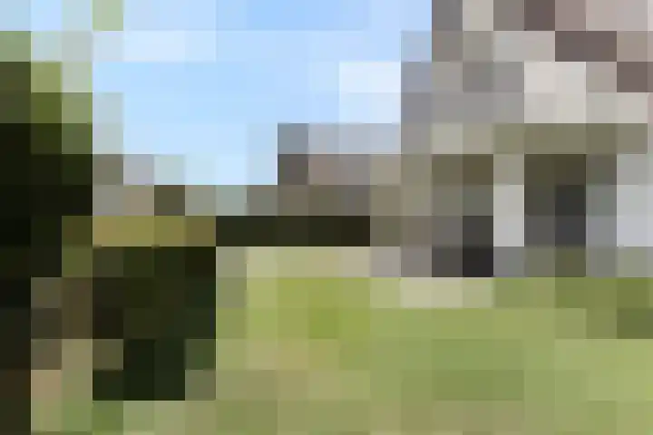 Havenweg 28 Buchten thumbnail 7