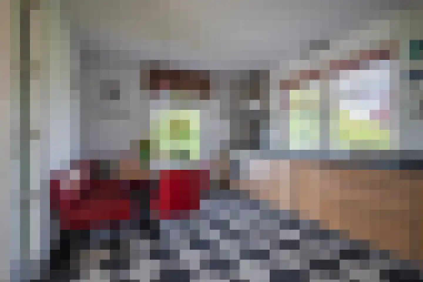 Havenweg 3 Giesbeek thumbnail 13