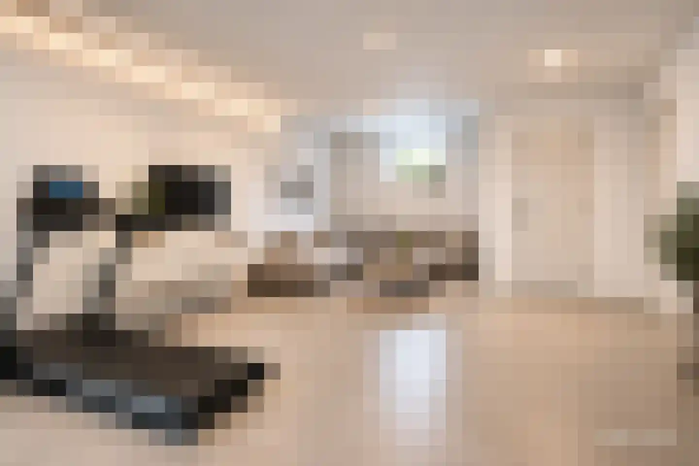 Havenweg 3 Giesbeek thumbnail 22
