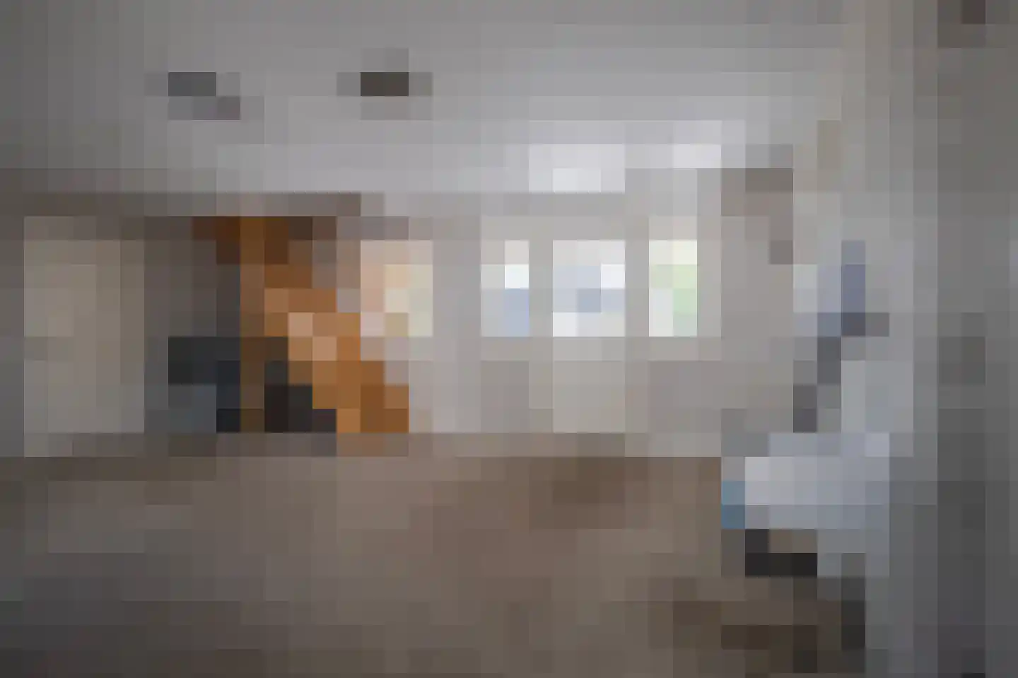 Havenweg 3 Giesbeek thumbnail 22