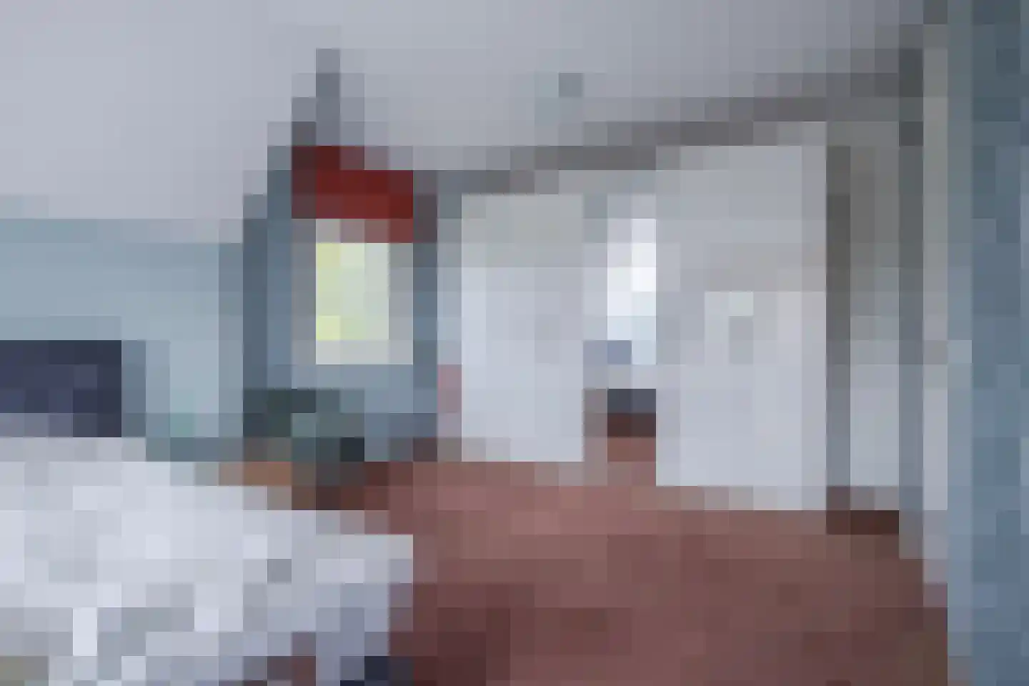 Havenweg 3 Giesbeek thumbnail 33
