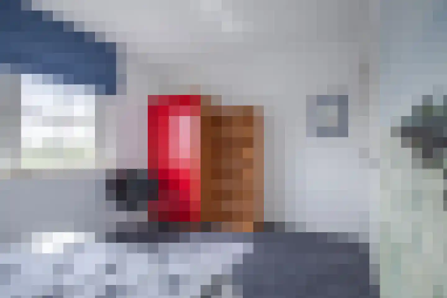 Havenweg 3 Giesbeek thumbnail 33