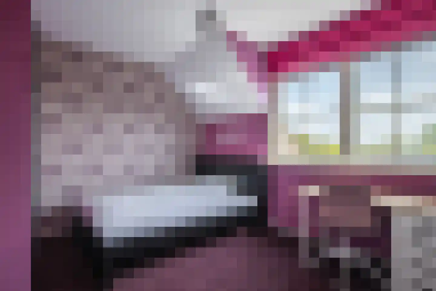 Havenweg 3 Giesbeek thumbnail 36