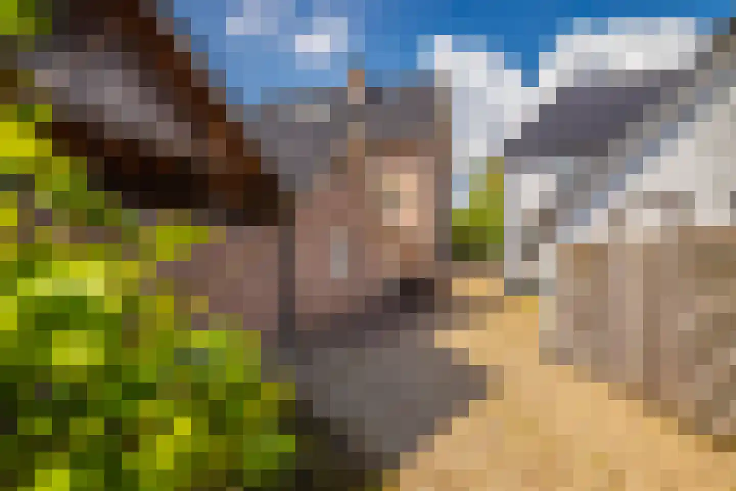 Havenweg 3 Giesbeek thumbnail 51
