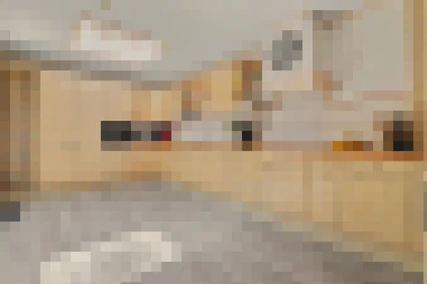 Havenweg 30 Nieuwdorp thumbnail 14
