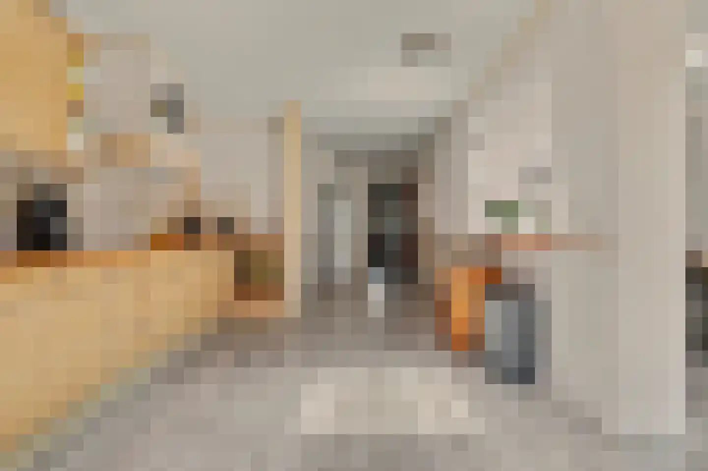 Havenweg 30 Nieuwdorp thumbnail 15