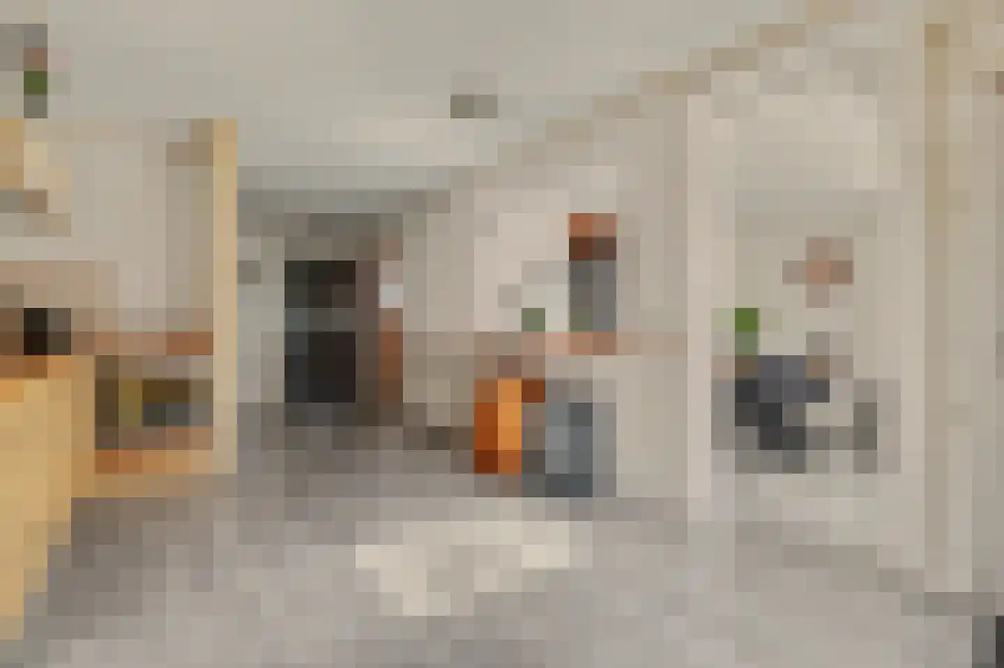 Havenweg 30 Nieuwdorp thumbnail 16