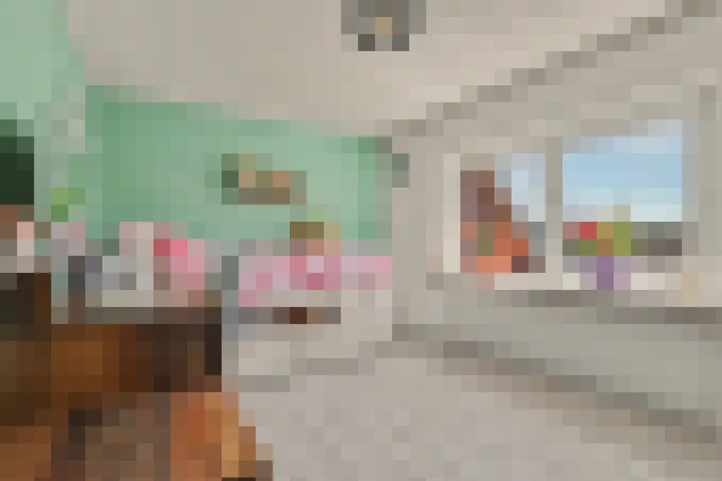 Havenweg 30 Nieuwdorp thumbnail 27