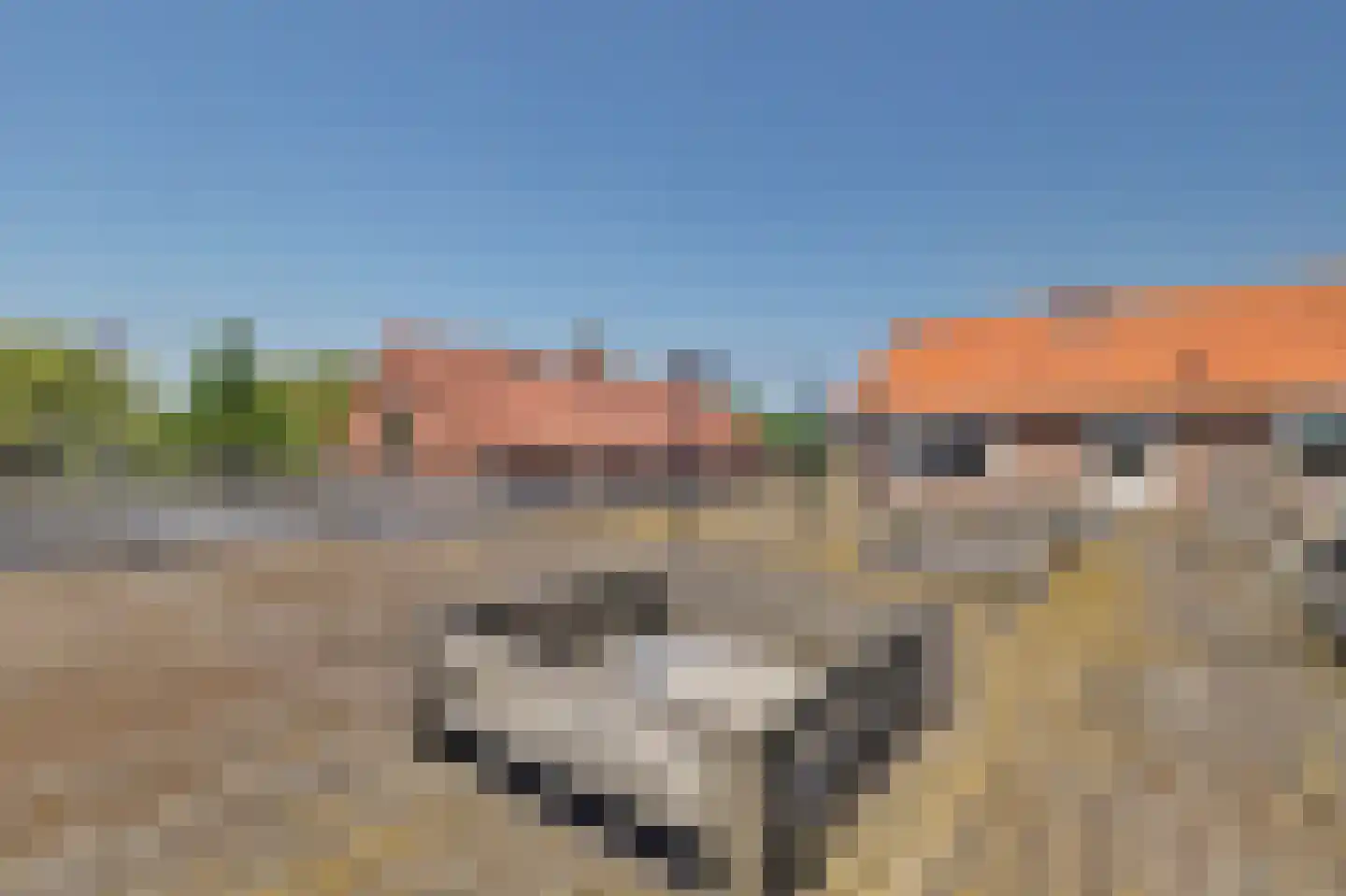 Havenweg 30 Nieuwdorp thumbnail 35
