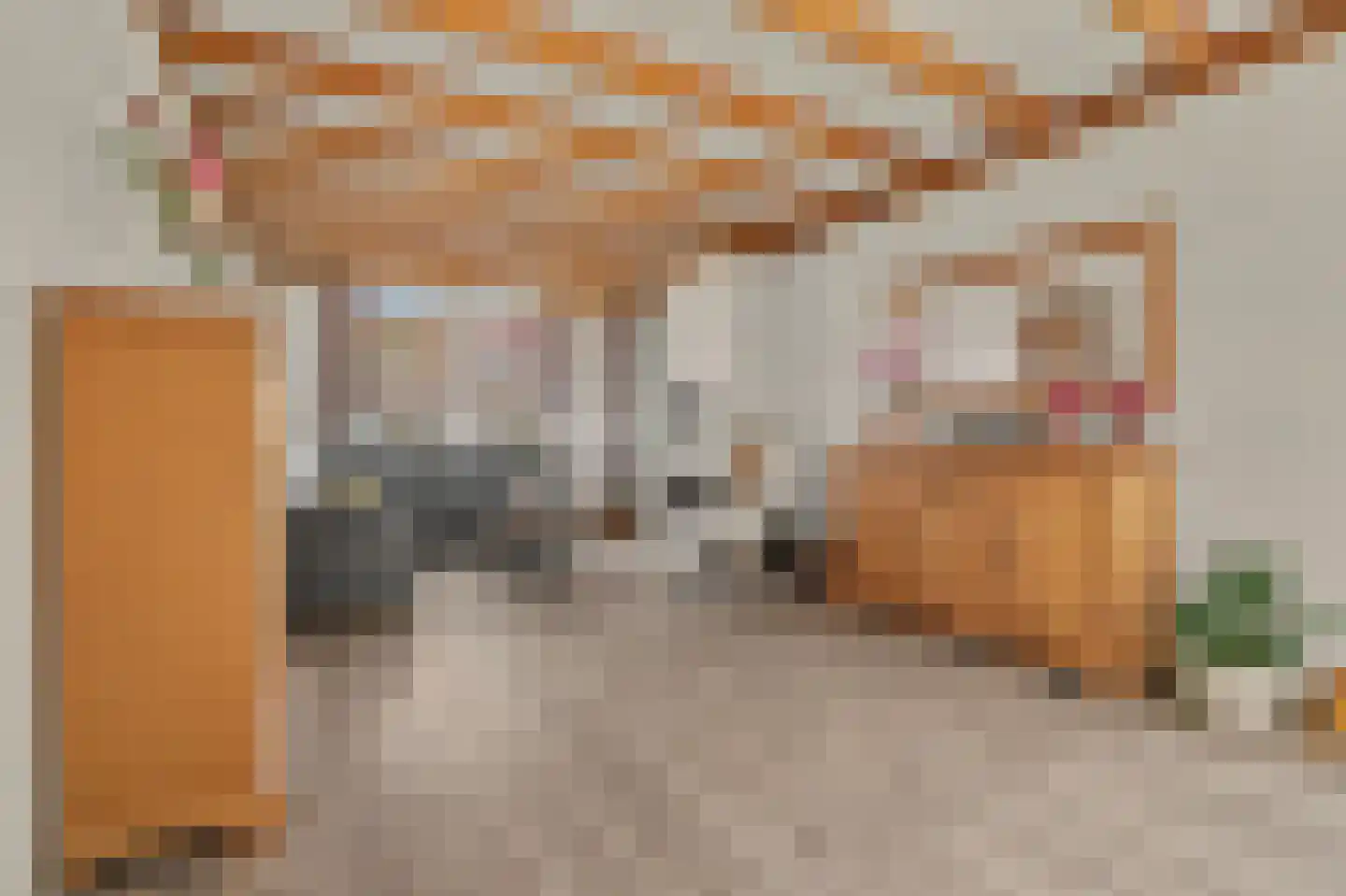 Havenweg 30 Nieuwdorp thumbnail 4