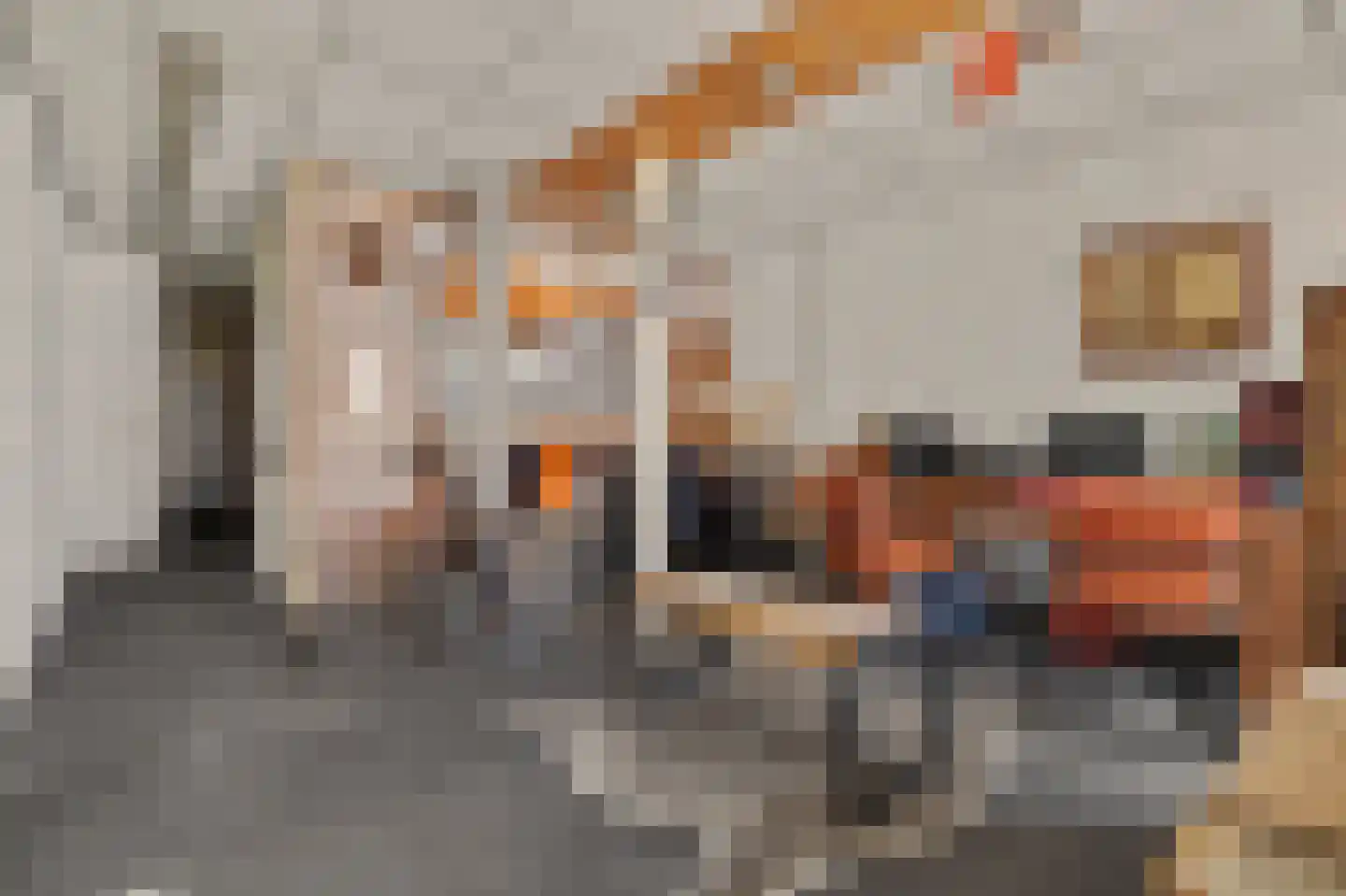 Havenweg 30 Nieuwdorp thumbnail 40