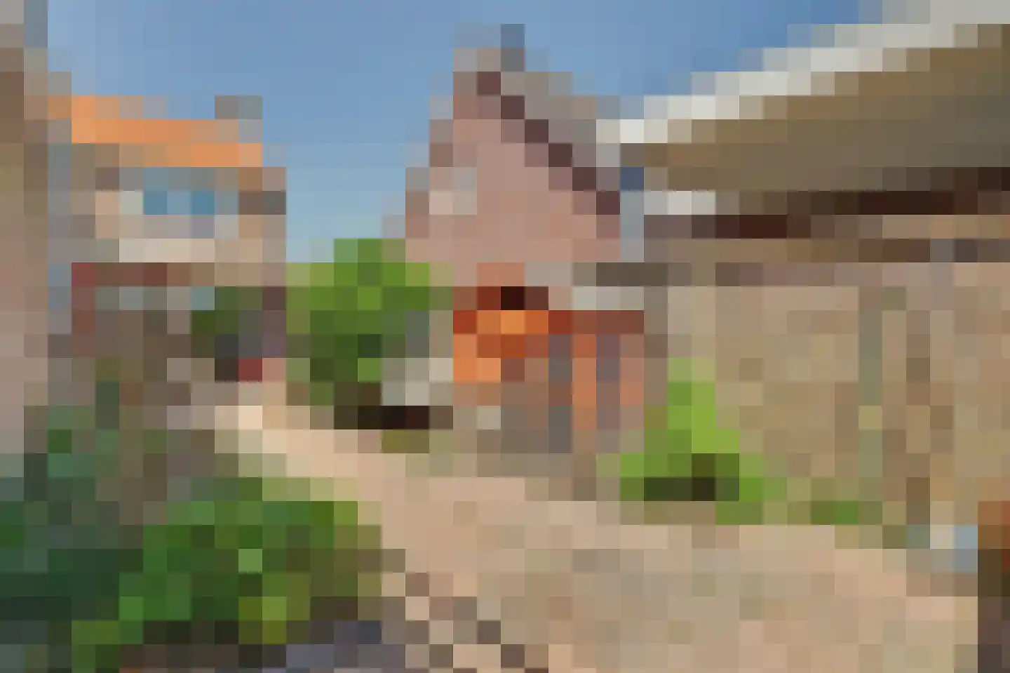 Havenweg 30 Nieuwdorp thumbnail 48