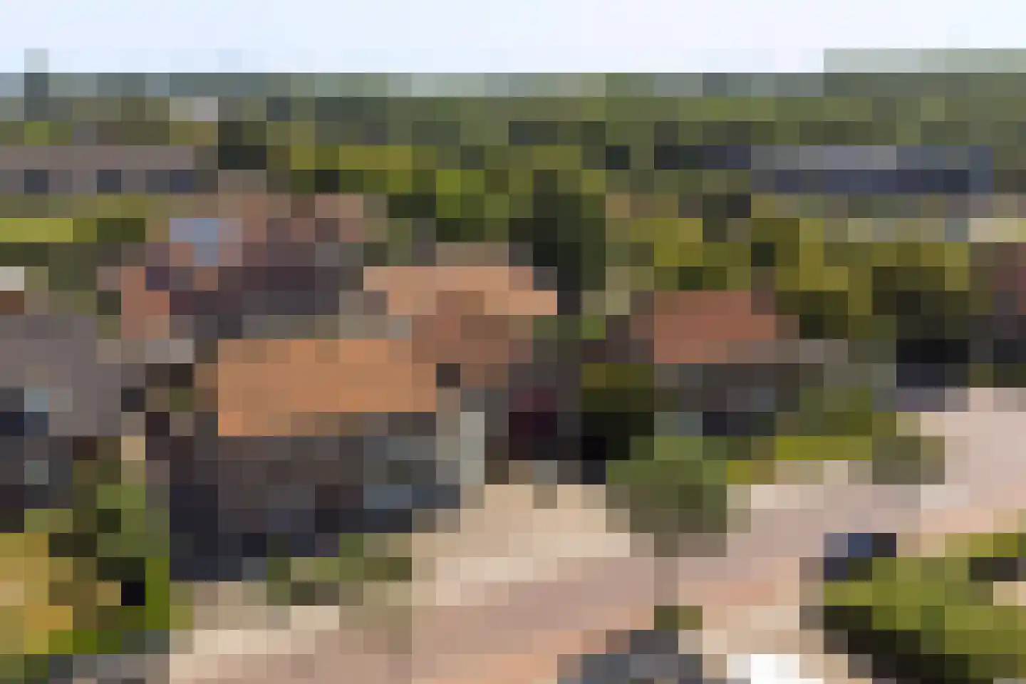 Havenweg 30 Nieuwdorp thumbnail 53