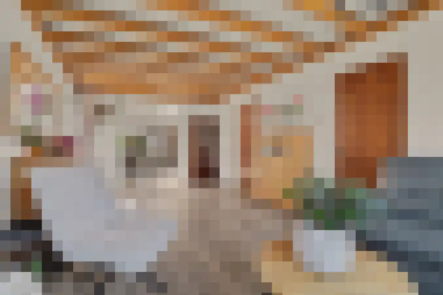 Havenweg 30 Nieuwdorp thumbnail 8
