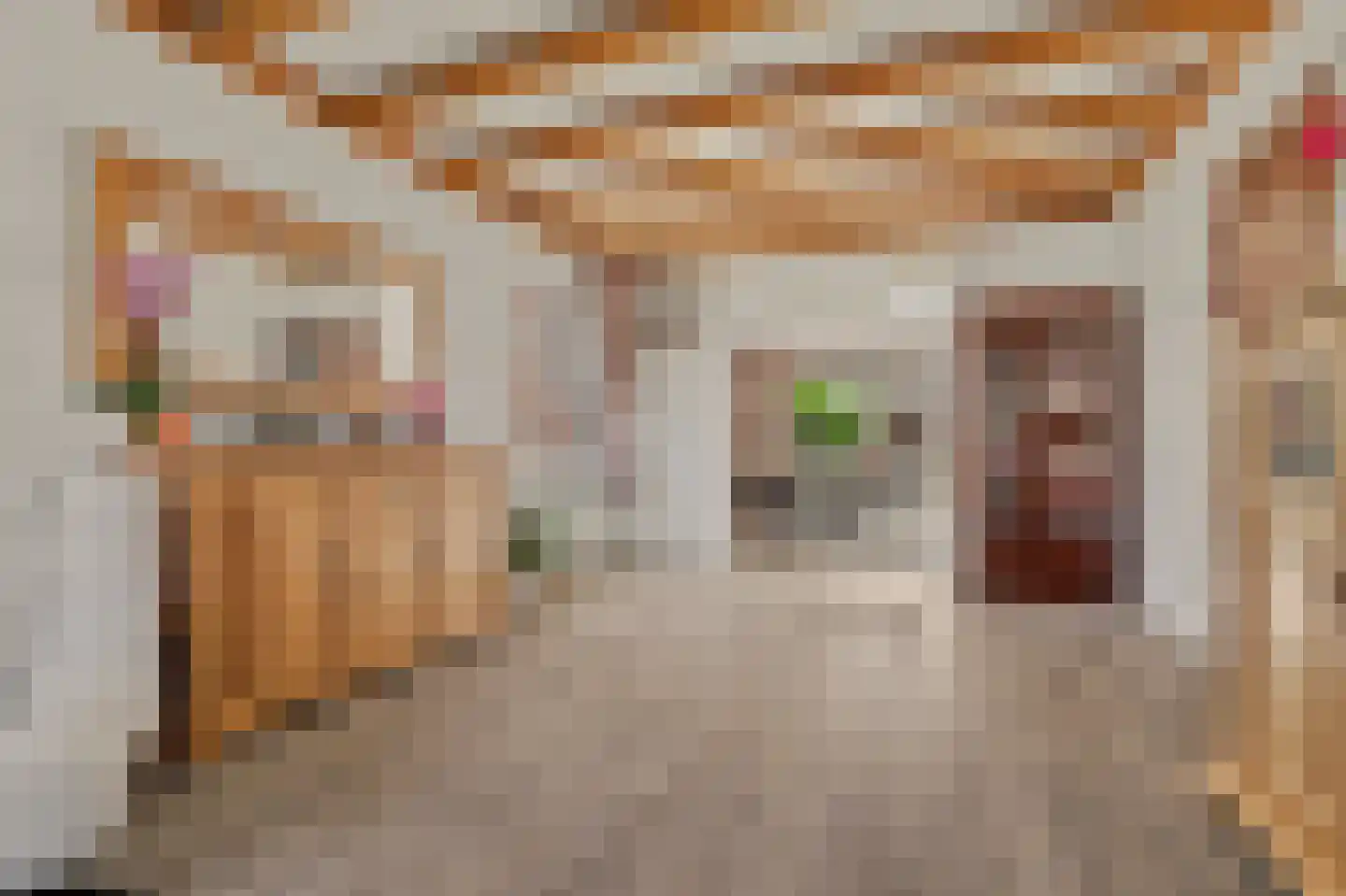 Havenweg 30 Nieuwdorp thumbnail 9