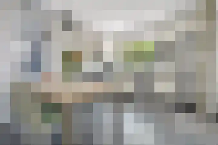 Havenweg 32 Nieuwdorp thumbnail 11