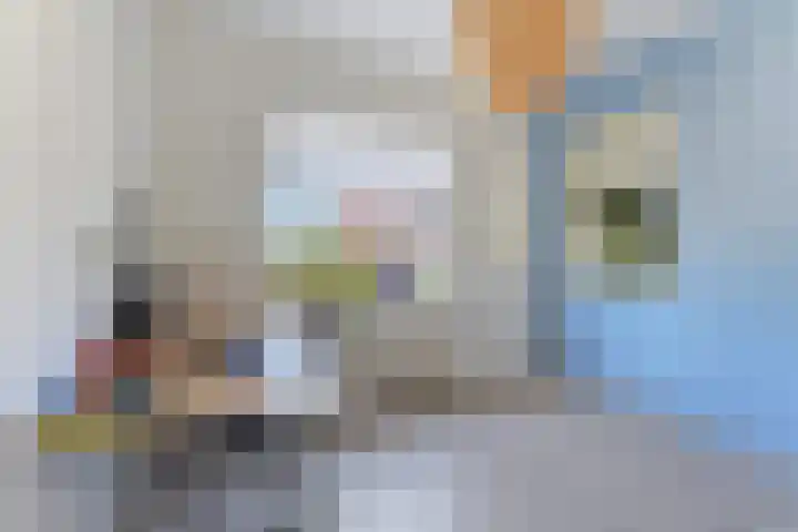 Havenweg 32 Nieuwdorp thumbnail 14