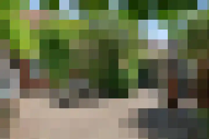 Havenweg 32 Nieuwdorp thumbnail 33