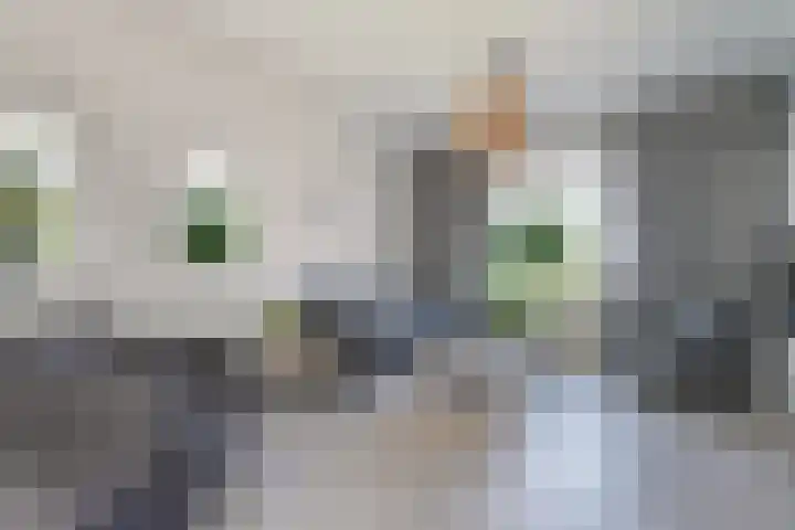 Havenweg 32 Nieuwdorp thumbnail 4