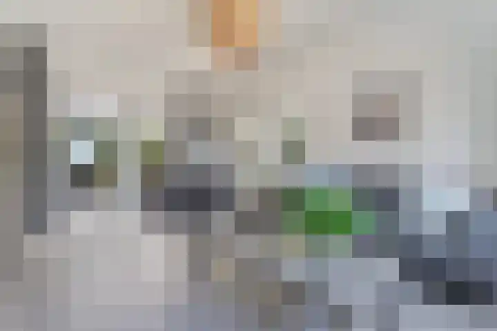 Havenweg 32 Nieuwdorp thumbnail 5