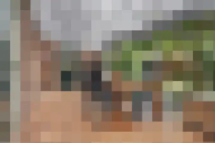 Havenweg 32 Nieuwdorp thumbnail 8