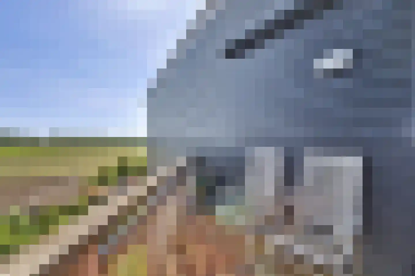 Havenweg 37 Kortgene thumbnail 29