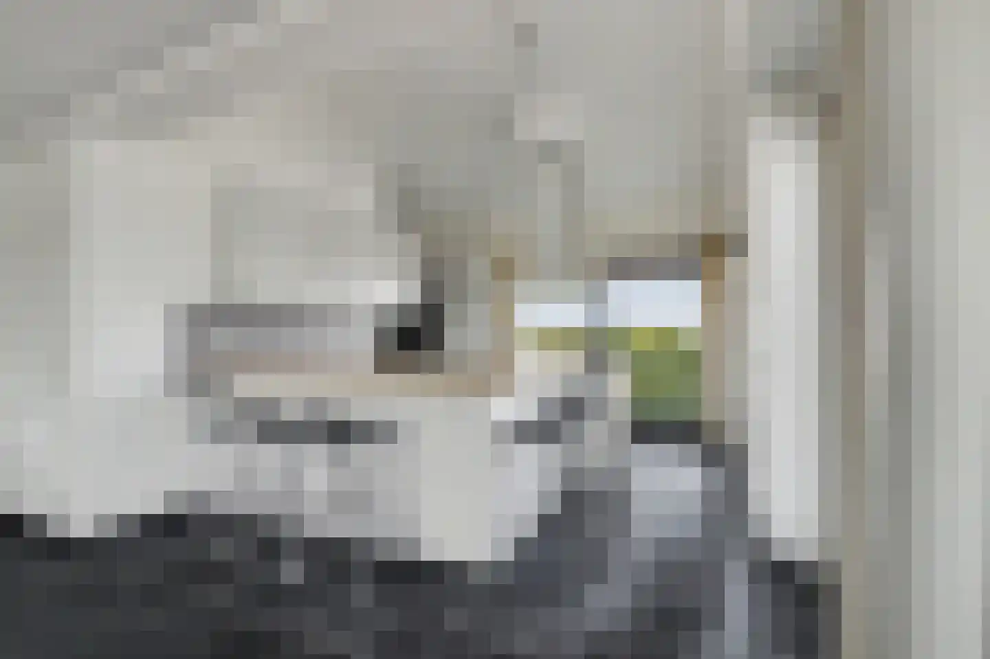 Havenweg 37 Kortgene thumbnail 4