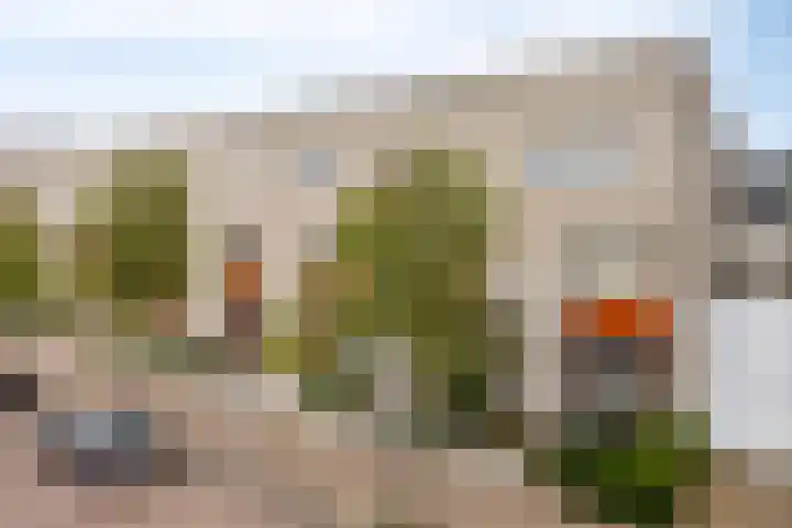 Havenweg 4 Apeldoorn thumbnail 39