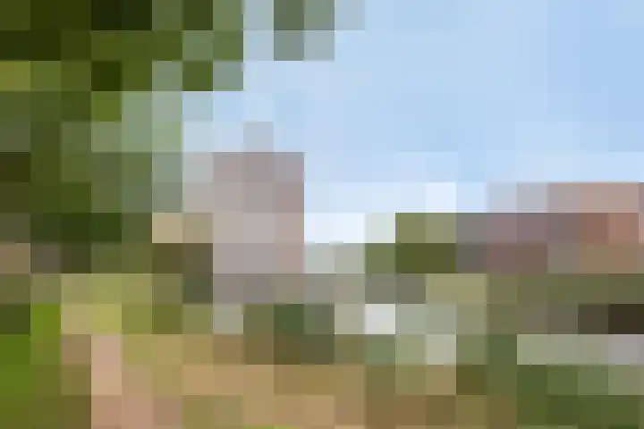 Havenweg 4 Apeldoorn thumbnail 43