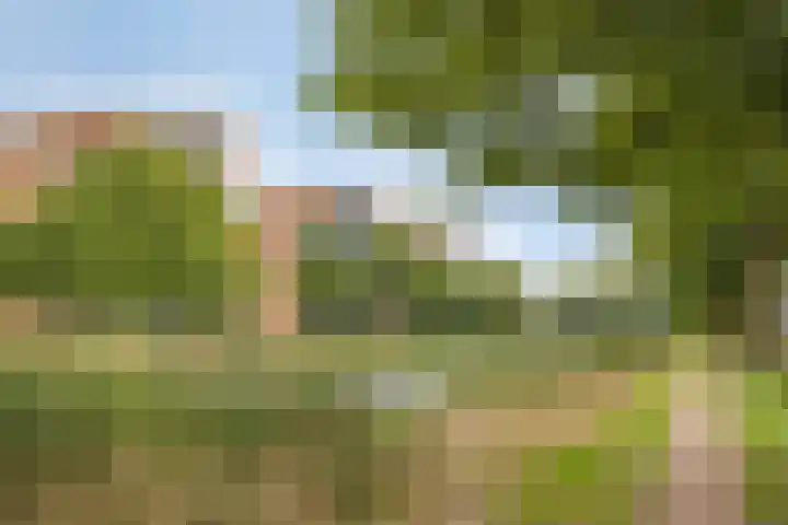 Havenweg 4 Apeldoorn thumbnail 44