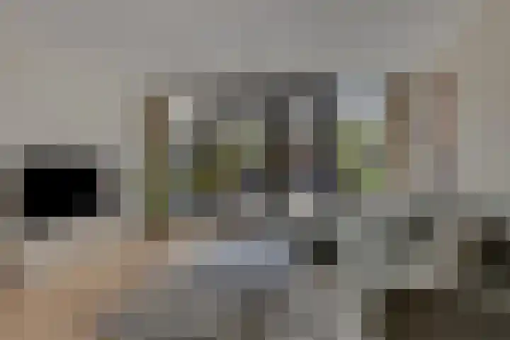 Havenweg 4 Apeldoorn thumbnail 5