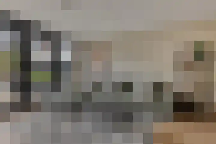 Havenweg 4 Apeldoorn thumbnail 6