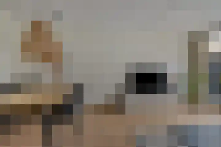 Havenweg 4 Apeldoorn thumbnail 9