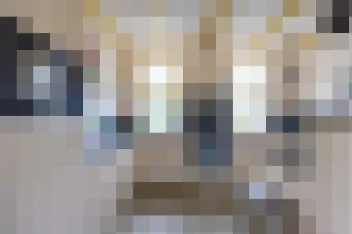 Havenweg 4 Baflo thumbnail 19