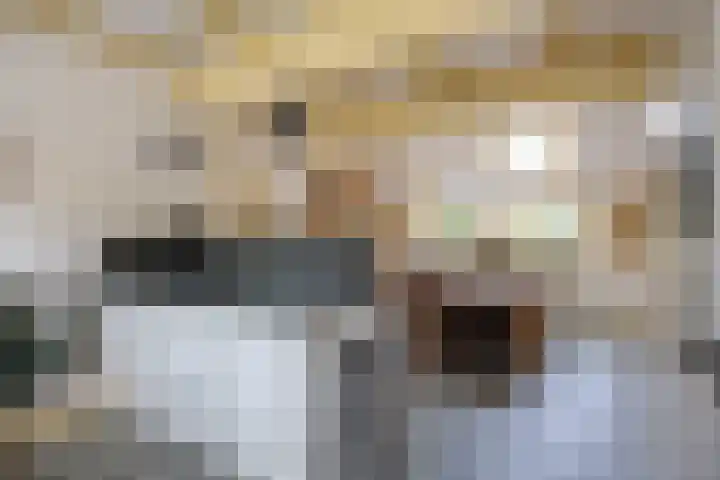 Havenweg 4 Baflo thumbnail 23