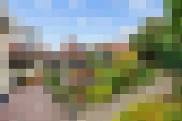 Havenweg 4 Baflo thumbnail 65
