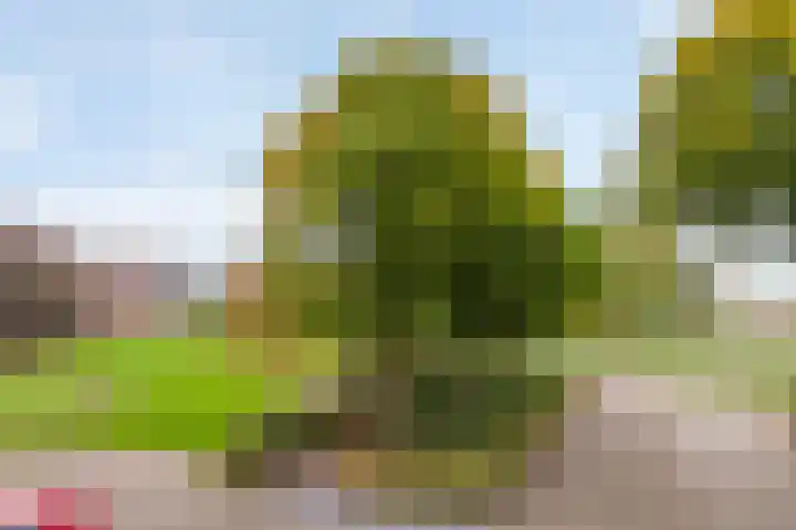 Havenweg 4 Buchten thumbnail 30