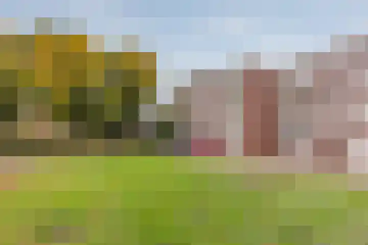 Havenweg 4 Buchten thumbnail 31