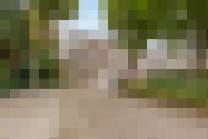 Havenweg 4 Buchten thumbnail 32