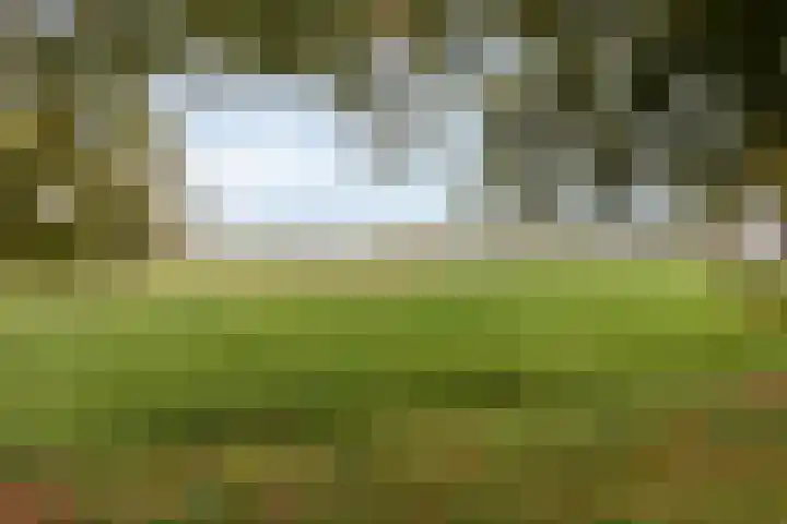 Havenweg 4 Buchten thumbnail 4